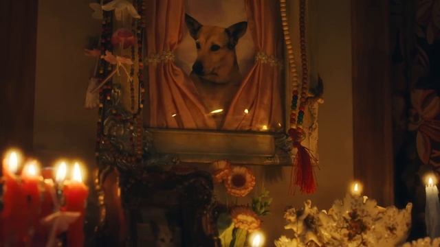 Sponsor Oficial del Corazón Argento: Publicidad Mundial 2022 | bplay смотреть онлайн