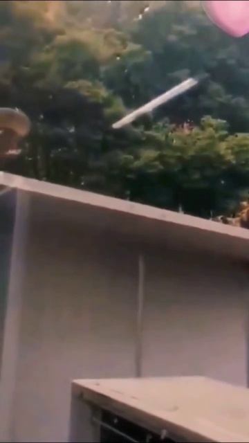 Веселые животные\ Приколы с кошками 2023 #shortvideo #cat #любовькживотным #кот  #catvideos  @Rydik