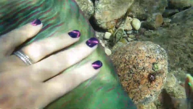 Хейлин смотреть онлайн