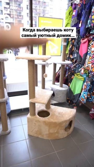 Зачем мне твой лежак?! смотреть онлайн