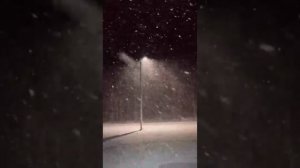 Снег за окном. Siberian Heat