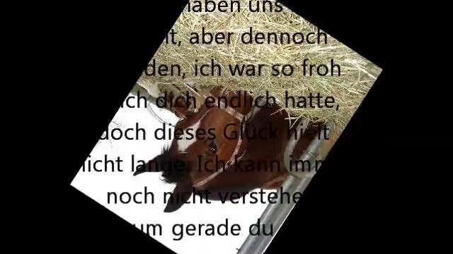 Die schönste Zeit mit dir :* смотреть онлайн