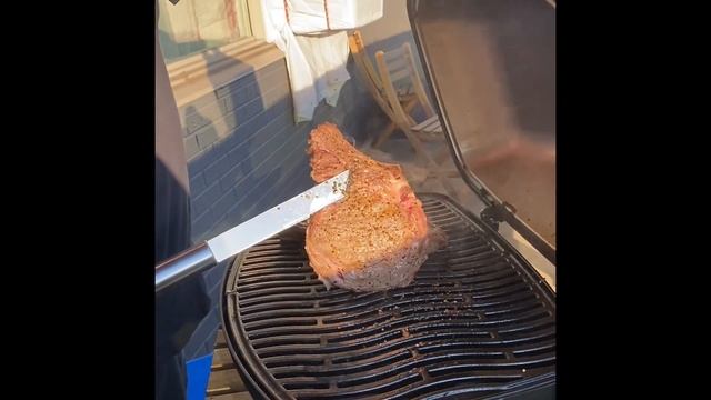 Napoleon Electric vs Gas Travel Grill