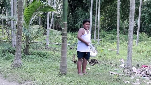 বাপুকনে খালে দিমা || তেলচুৰাৰ খেতি || telsura new comedy video || new funny video 2021 смотреть онлайн