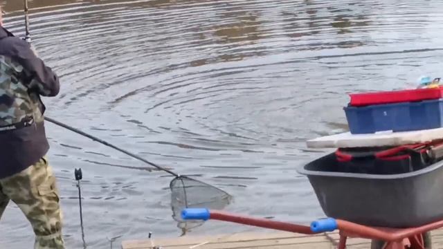 Поимка смотреть онлайн