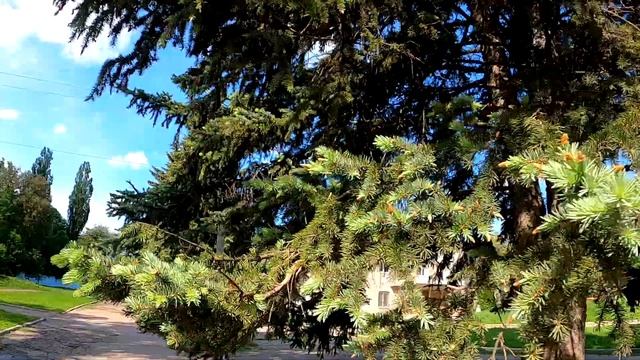 Парк им. Горького. Горловка. смотреть онлайн