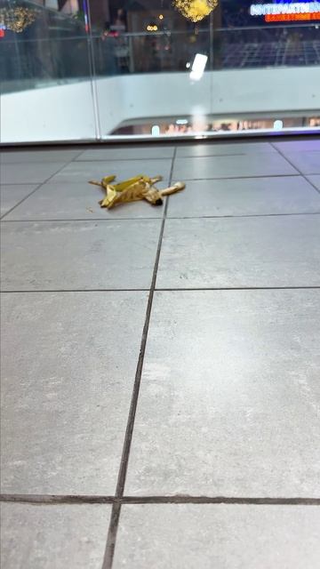 ПРАНК ВЫШЕЛ ИЗ ПОД КОНТРОЛЯ😂😳