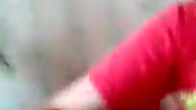 Обзор лошадей смотреть онлайн