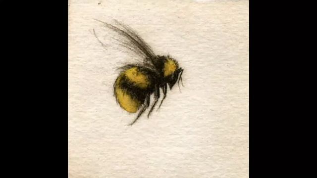 What's Good Pat -Fat Boy Patrick смотреть онлайн