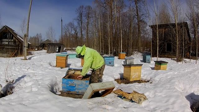 Малиновская пасека (будем жить) смотреть онлайн
