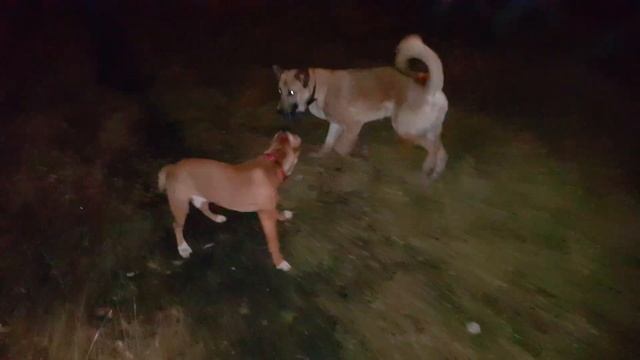 взрослые игры смотреть онлайн