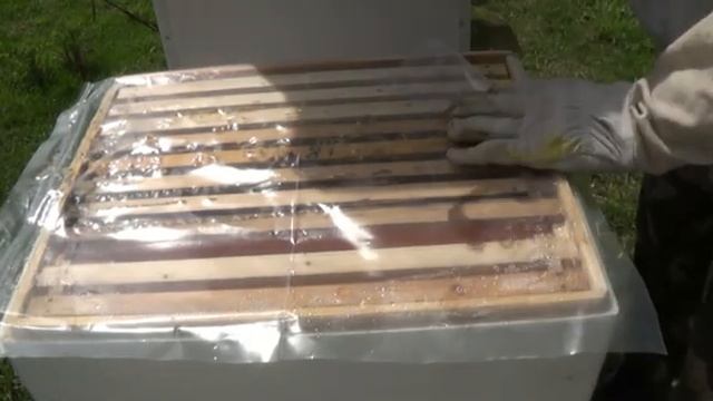 Загоняю пчёл в магазин при помощи расплода 17 апреля смотреть онлайн