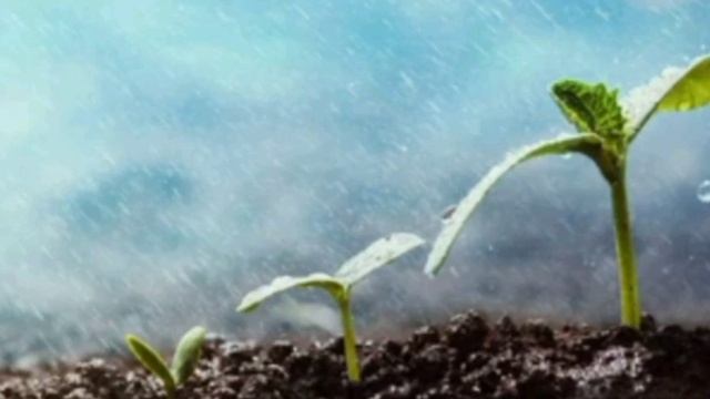 Олег Буцень "Город узимку" (оповідання) смотреть онлайн