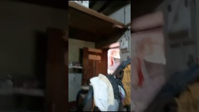 Moringa Shampoo and Moringa oil смотреть онлайн