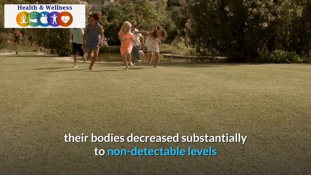 pesticides on fruit and vegetables facts you ought to know смотреть онлайн