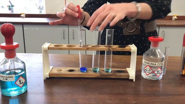 Yr 13 Reactions of Amines