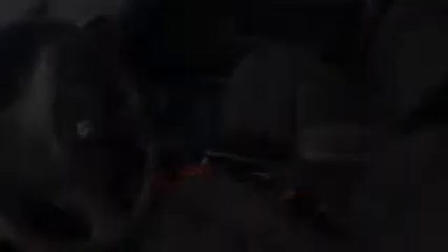 2003 Dodge Neon Avon IN смотреть онлайн