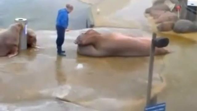 ржу не могу как такое возможно!360 смотреть онлайн