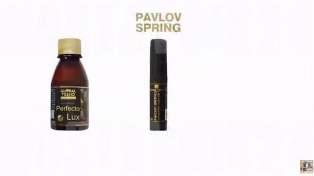 Песня о компании Global Trend смотреть онлайн