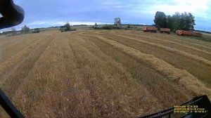 Уборка 2019.Комбайн Deutz Fahr 6090 HTS. Молотим ячмень. Поле "рыбка". Продолжение9