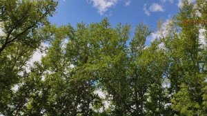 Чёртово озеро Шайтанколь. Часть 3. Страшные истории на ночь 🫣🫣🫣