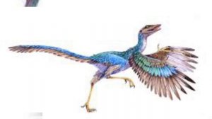 archaeopteryx