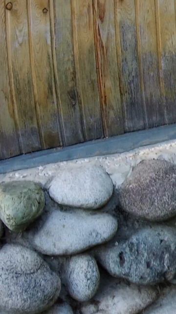 Усадьба Лебедь Турочак Республика Алтай Часть 243 #Shorts смотреть онлайн