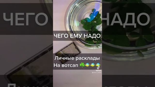 Что ему вообще надо ? 🤷♀️✨⚡️#таро