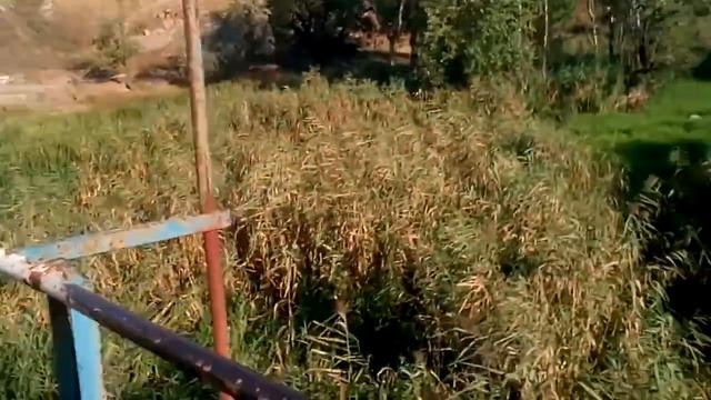 Кривой Рог Висячий мост на Карачунах. смотреть онлайн