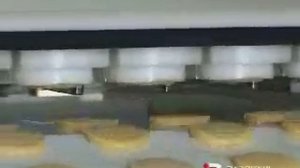 ФОРМОВОЧНО-ЭКСТРУЗИОННАЯ МАШИНА ДЛЯ ДВУХЦВЕТНОГО ПЕЧЕНЬЯ С НАЧИНКОЙ И РЕЗАНОГО НИТЬЮ  Aladin