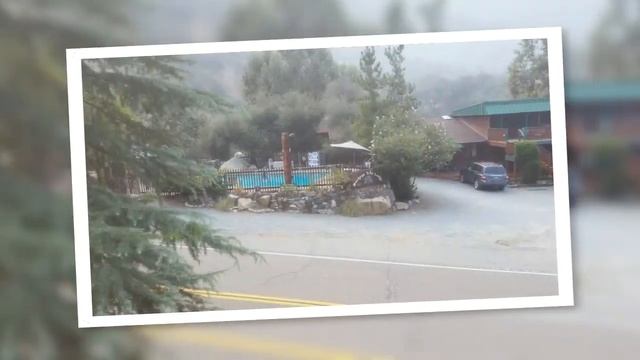 Sequoia camping trip 3 2015