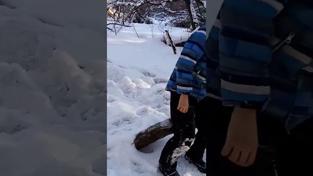 жгём костёр смотреть онлайн