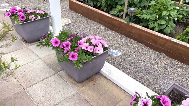 Garden Update! Short Version смотреть онлайн