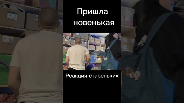 Новенькую встретили не очень #смешно #саранча #шутки #сериал #сериалы_youtube #янакосячила смотреть онлайн