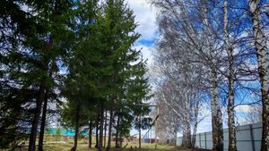 Гуляем по деревне, деревенская прогулка, жизнь в деревне