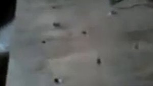 Мурка (мр-512) и кусок фанеры.