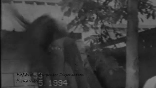 Morbus   Promo Video