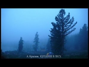 КУПАНИЕ В ЛЕСУ