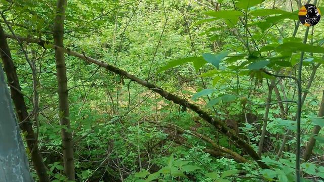 anatoly dyatlov apartment смотреть онлайн