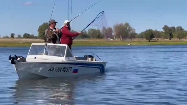 1 мая 2023 г. смотреть онлайн