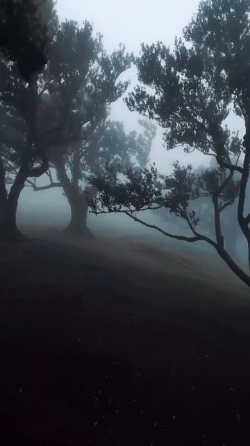 #отдыхнаприроде #релаксвидео #топыкатегорий смотреть онлайн