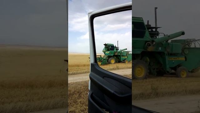 1 ноября 2016 г. смотреть онлайн