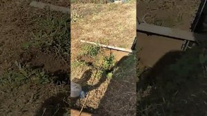 Дворник в деревне Идельбаково