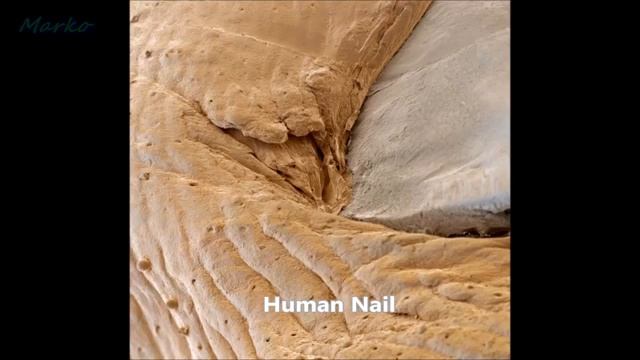 50 Things Looking Totally Bizarre Under A Microscope смотреть онлайн