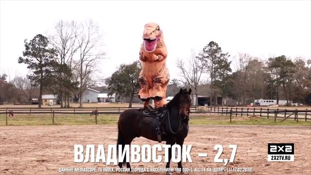 Конские рейтинги смотреть онлайн