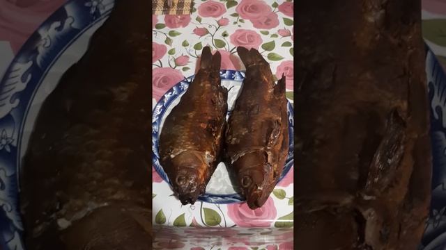 рыба из ада 🤣🤣🤣🤣🤣 смотреть онлайн