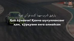 Нашид Кунту Майтан. Kuntu Maytan o'zbek tilida