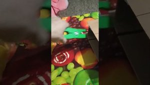 Биркач - Клипсатор для овец, от Оzon.