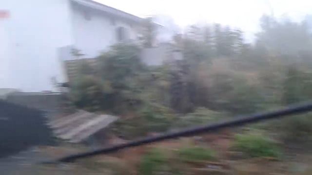 Туман Утро смотреть онлайн