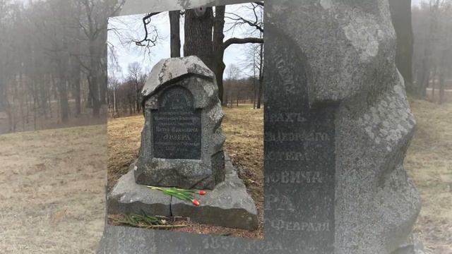 Spb, Peterhof, Alexandria Park смотреть онлайн